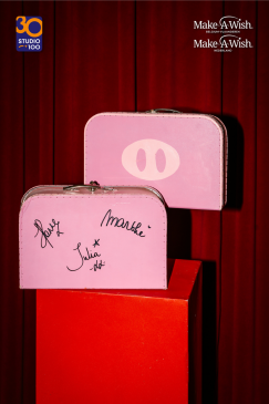 Koffers uit 'De 3 biggetjes' musical (gesigneerd)